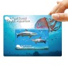 Credit Card USB Drive Lifestyle